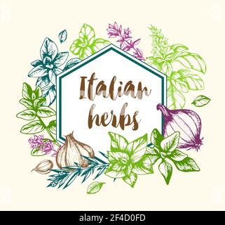 Vintage vettoriale sfondo disegnato a mano con spezie ed erbe italiane. Illustrazione Vettoriale