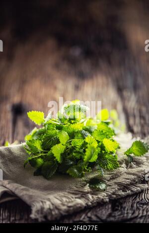 Erbe melissa verde naturale su iuta rustica o tovagliolo di lino piegato su legno scuro. Foto Stock