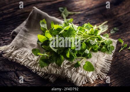 Erbe melissa verde naturale su iuta rustica o tovagliolo di lino piegato su legno scuro. Foto Stock