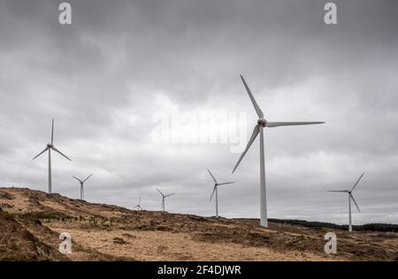 Ballybane, Cork, Irlanda. 20 Marzo 2021. Turbine eoliche sulla montagna a Ballybane in Cork Ovest. In totale ci sono 21 turbine che possono alimentare in media circa 40,000 case all'anno. - credito; David Creedon / Alamy Live News Foto Stock