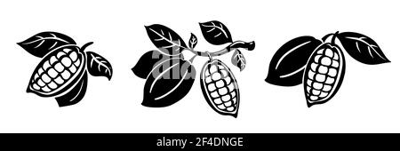 Illustrazione vettoriale dei chicchi di cacao. Fagioli di cacao su un ramo con foglie isolate su sfondo bianco. Illustrazione Vettoriale