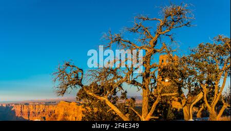 Il Desert Watchtower si trova sul bordo del Grand Canyon, Grand Canyon National Park, Arizona, Stati Uniti Foto Stock