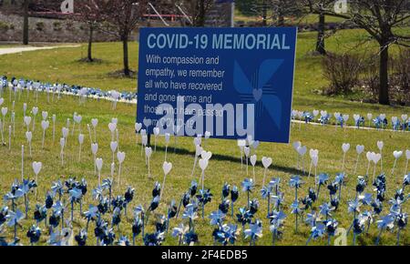 Creve Coeur, Stati Uniti. 20 Marzo 2021. Un memoriale per coloro che hanno avuto la malattia di COVID-19 è in mostra al Missouri Baptist Hospital a Creve Coeur, Missouri Sabato 20 marzo 2021. L'ospedale ha ricevuto la conferma il 19 marzo 2020, del suo primo paziente confermato con COVID-19. Un anno più tardi Missouri Baptist onora i 1,550 pazienti che si sono guariti dal virus con i pinwheels viola, mentre i 270 che sono morti dal virus COVID-19 sono onorati con i cuori bianchi. Photo by Bill Greenblatt/UPI Credit: UPI/Alamy Live News Foto Stock