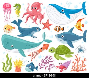 Animali marini cartoni animati. Carino pesce oceano, polpo, squalo e tartaruga, meduse, granchio e foca. Fauna selvatica subacquea creature vettoriali set di illustrazione. Seaw Illustrazione Vettoriale