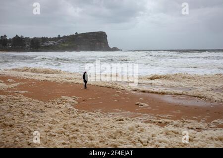 Avalon Beach, Sydney, Australia 21 marzo 2021.As inondazioni battter nuovo Galles del Sud la costa orientale surf batte la costa. Lady cammina attraverso il seaf Foto Stock