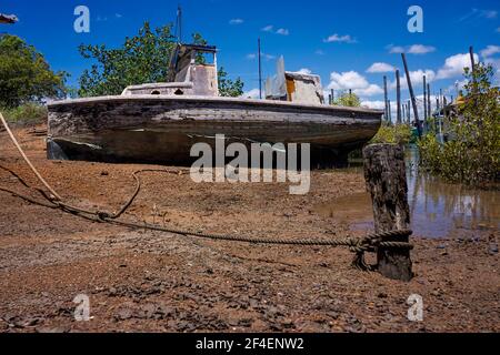 Derelict vecchia barca con vernice sfaldante e arrugginito hulll eft a marcire in tra gli alberi di mangrovie nel Queensland del nord tropicale, Australia. Foto Stock