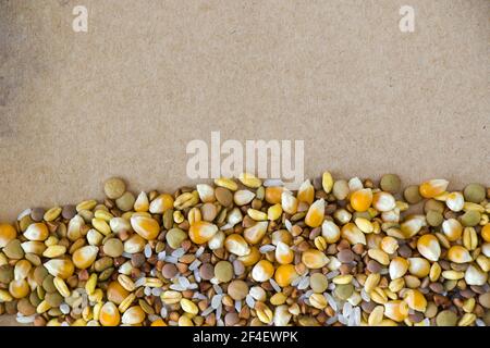 Un colpo di closeup di cereali sani assortiti isolati su un superficie marrone Foto Stock