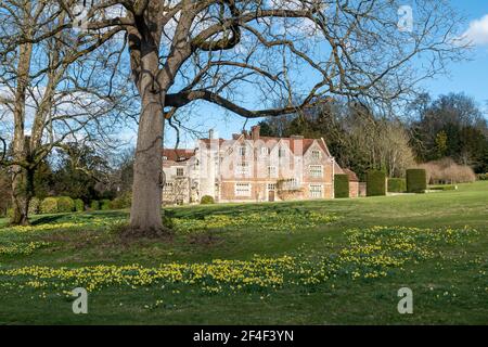 Chawton House, una residenza elisabettiana di grado ll* in Hampshire, Inghilterra, Regno Unito, in primavera o marzo con narcisi in fiore Foto Stock