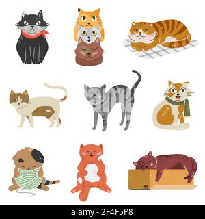 Varietà di razze gatti con pose ed emozioni diverse. Collezione di adorabili gattini. Illustrazione Vettoriale