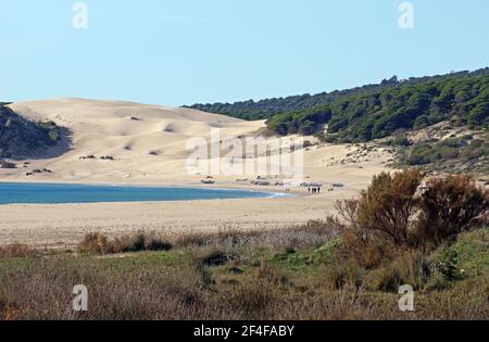 Spagna: Le dune di sabbia di Bolonia (Dunas de Bolonia) Foto Stock