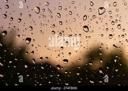 Gocce di pioggia fresche sulla finestra con messa a fuoco selettiva e sfondo sfocato Foto Stock
