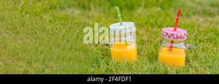 Concetto estivo di picnic in giornata di sole. Primo piano di due bicchieri di fresche limonate, limonata, succo o frullato di vasetti di muratura con paglia colorata sull'erba . Spazio di copia. Messa a fuoco selettiva Foto Stock