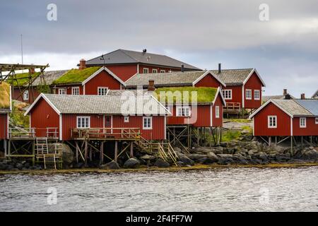 Rorbuer, tipiche case in legno con tetto in erba, Reine, Moskenesoey, Lofoten, Nordland, Norvegia Foto Stock