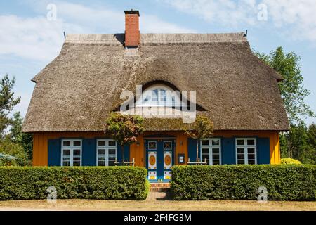 Casa sul tetto in paglia, Wieck am Darss, Meclemburgo-Pomerania occidentale, Germania Foto Stock