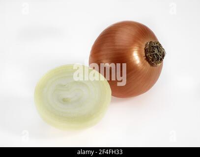Cipolla, cipolle comuni (allium cepa), famiglia Leek, esenzione ONION Foto Stock