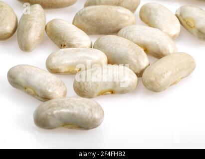 Fagioli da giardino, fagioli verdi, fagioli verdi (phaseolus vulgaris), fagioli delle farfalle, fagioli bianchi francesi del rene o mogette da Vendee Foto Stock