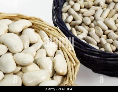 Fagioli francesi, fagioli verdi, fagioli verdi (phaseolus vulgaris), fagioli delle farfalle, fagioli di soia francesi con fagioli bianchi francesi di rene o mogette di Vendee Foto Stock