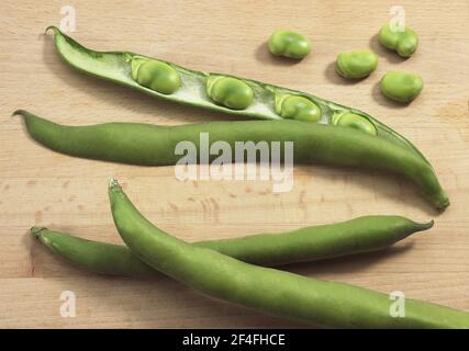 Fava Bean, Field Bean, Broad Bean, Horse Bean, Broad Bean, Fagiolo di farfalla, fagioli larghi freschi Foto Stock