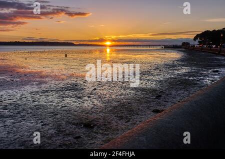 Fango terapia, Poole baia a bassa marea, Dorset Foto Stock