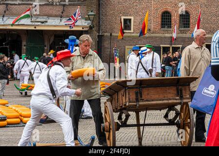 Alkmaar, Paesi Bassi; 18 maggio 2018: Mercato del formaggio scarico dei formaggi Foto Stock