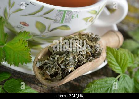 Tè alle foglie di lampone e mora (Rubus idaeus) (Rubus fruticosus), tè alle foglie di lampone, tè alle foglie di mora Foto Stock