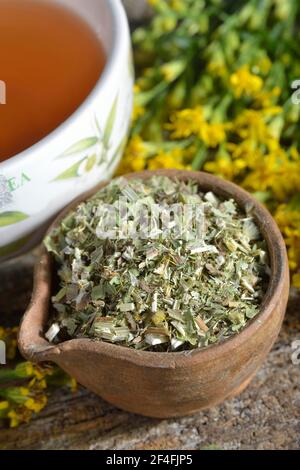 Tazza di tè con verga (Solidago virgaurea) Foto Stock