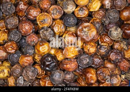 Macro closeup full frame di grani interi peppercorn - cambogiano pepe nero di kampot Foto Stock