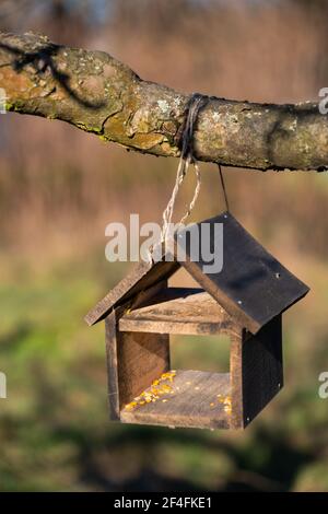 Alimentatore di uccello di legno appeso su un ramo di albero Foto Stock