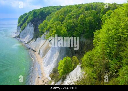 Faggeta, scogliere di gesso, costa di gesso, Parco Nazionale di Jasmund, Mar Baltico, Ruegen, Wissower Klinken, Mecklenburg-Vorpommern, Germania Foto Stock