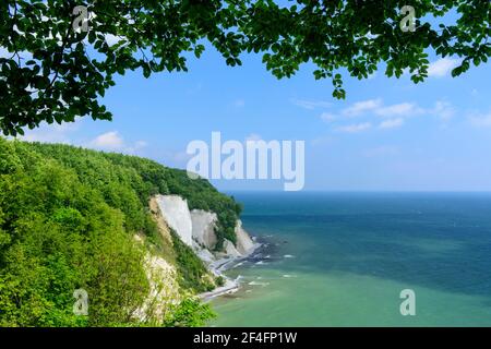 Faggeta, scogliere di gesso, costa di gesso, Parco Nazionale di Jasmund, Mar Baltico, Ruegen, Meclemburgo-Pomerania occidentale, Germania Foto Stock