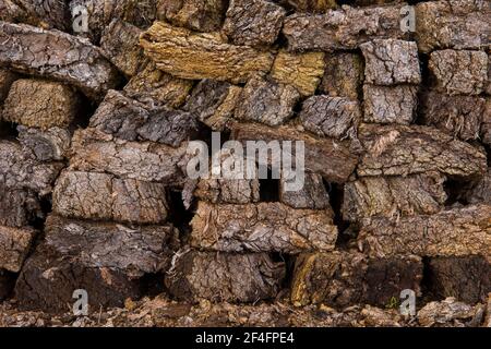 Torba, torba, Goldenstedter Moor, Diepholzer Moorniederung, bassa Sassonia, Germania Foto Stock