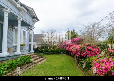 Residenza coloniale degli anni '1890 e cortile con prato e azalee in fiore nella parte alta di New Orleans Foto Stock