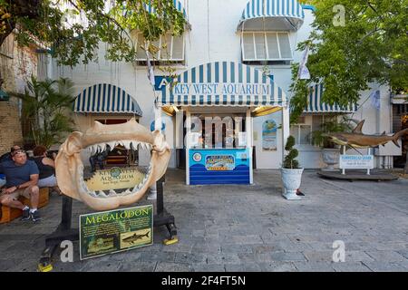 Key West Aquarium a Key West Florida USA Foto Stock