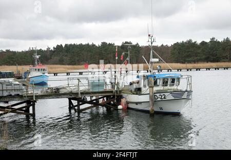 Prerow, Germania. 16 Marzo 2021. Le barche da pesca sono ormeggiate nel porto di emergenza Darßer Ort nella zona centrale del parco nazionale 'Vorpommersche Boddenlandschaft'. Credit: Bernd Wüstneck/dpa-Zentralbild/ZB/dpa/Alamy Live News Foto Stock