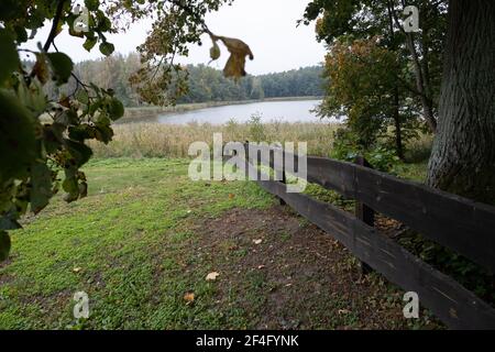 Polonia, Podlasie- 11 Ottobre 2020: Paesaggio Podlasie Foto Stock
