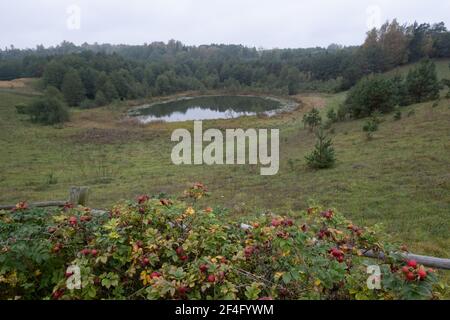 Polonia, Podlasie- 11 Ottobre 2020: Paesaggio Podlasie Foto Stock