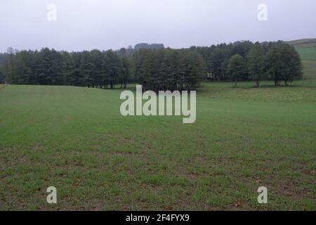 Polonia, Podlasie- 11 Ottobre 2020: Paesaggio Podlasie Foto Stock