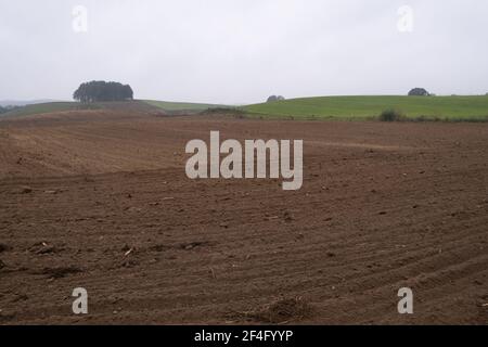 Polonia, Podlasie- 11 Ottobre 2020: Paesaggio Podlasie Foto Stock