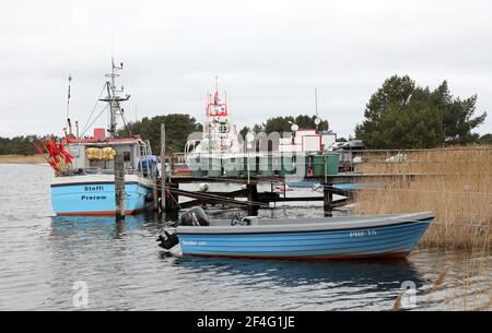 Prerow, Germania. 16 Marzo 2021. Le barche da pesca sono ormeggiate nel porto di emergenza Darßer Ort nella zona centrale del parco nazionale Vorpommersche Boddenlandschaft, sullo sfondo l'incrociatore di salvataggio 'Theo Fischer' del servizio tedesco di ricerca e salvataggio marittimo DGzRS. Credit: Bernd Wüstneck/dpa-Zentralbild/ZB/dpa/Alamy Live News Foto Stock