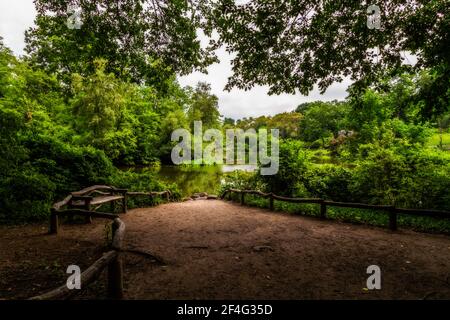 Panca vuota in Central Park vicino al sentiero e. alberi Foto Stock
