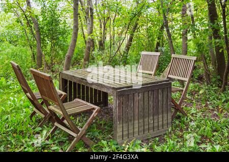 Vecchio tavolo con scatola in legno intemperie e legno di teak alto sedie posteriori in area boschiva di giardino residenziale cortile in fine estate Foto Stock