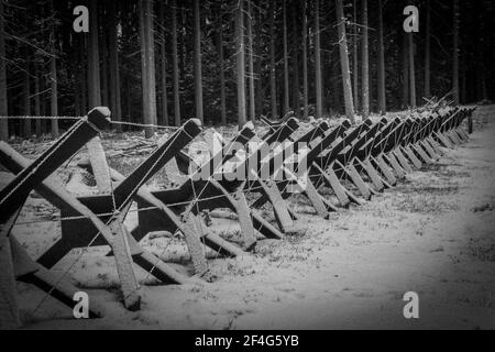 Vecchia barriera di confine nella foresta innevata vista in bianco e nero Foto Stock