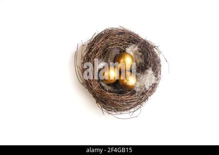 Uova d'oro in un nido di uccelli omn uno sfondo bianco Foto Stock