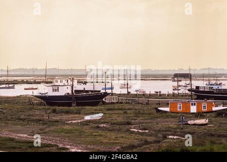 Mersea Island Essex Mersea paludi 1979 Foto Stock