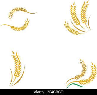 Disegno dell'icona del vettore del grano Illustrazione Vettoriale