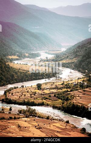 I campi di riso dell'alta Valle di Punakha circondano il fiume Mo Chu nel Bhutan. Foto Stock