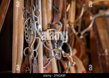 USA, Colorado, Custer County, Westcliffe, Music Meadows Ranch. Spazio di gioco. Proprietà rilasciata. Foto Stock