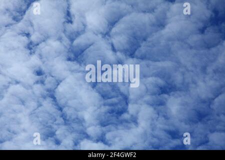 Sfondi e texture naturali. Cirrus nuvole contro il cielo blu. Schizzi astratti della natura. Paesaggio cielo di primavera. Sfondo del cielo Foto Stock