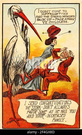 Anti-suffragio, nuova cartolina delle congratulazioni del bambino, raffigurante una cicogna bianca arrabbiata che attacca un uomo mentre una donna corre via nella paura, con la casella di testo 'non vengo a Suffragettes e il forte, back up - svanisce via, voi senza figli', 1900. Fotografia di Emilia van Beugen. () Foto Stock