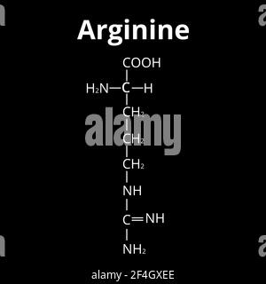 Amminoacido di arginina. Formula molecolare chimica amminoacido arginina. Illustrazione vettoriale su sfondo isolato Illustrazione Vettoriale